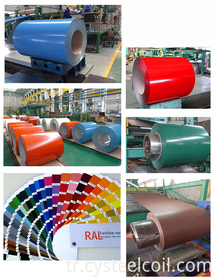 Color coated roll